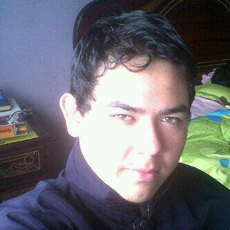 desarrollador web