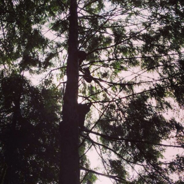 sebaspipilepiut's profile picture. FollowMe en @NaitPG