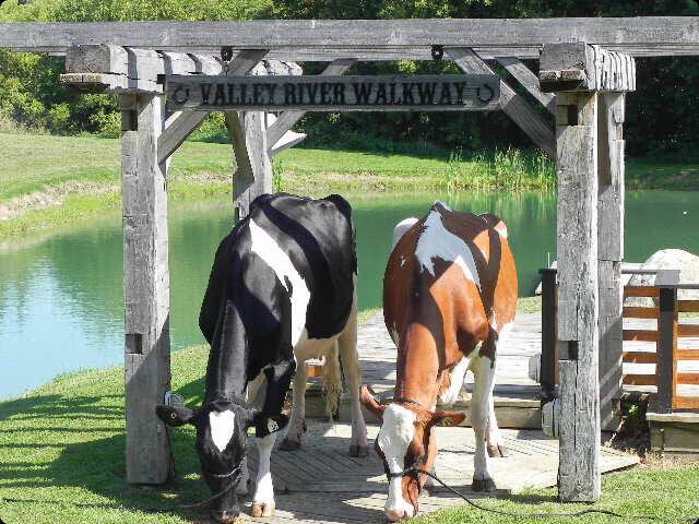 Valleyriver farms