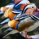 اكرم الشريف (@0554071578_ak) Twitter