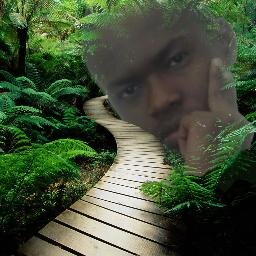 elprimee's profile picture. etudiant en finance et comptabilité.