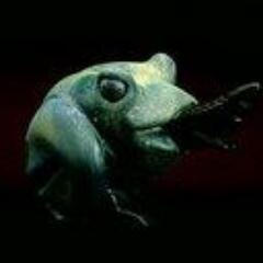 Albdino's profile picture. = dev =