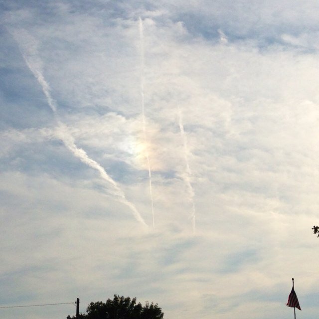 SkyBirds5's profile picture. Outdoor fanatic inclined to the study & nature of trees & birds*. Team #AA