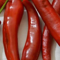 Amiamo il Peperoncino Piccante e tutte le culture gastronomiche piccanti. Adoriamo i cibi piccanti. Mandateci notizie dal mondo intero!