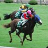 回収率287％越え@競馬収入で脱サラ 