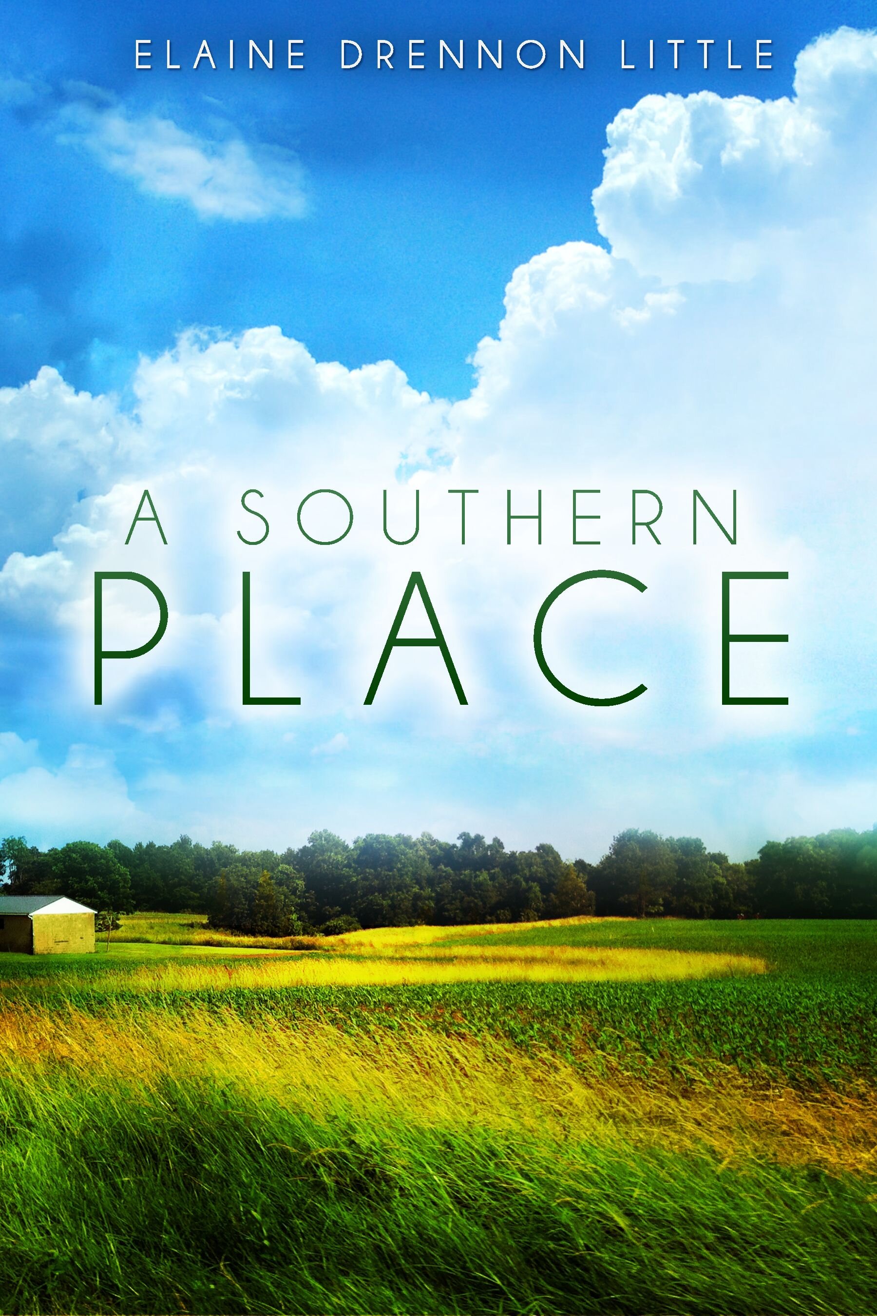 Elaine Drennon Little, author of A Southern Place, has been a public school music teacher, lounge musician, choir director, mom, and home for abandoned cats.
