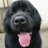 Profile Picture of Harrison Food's Mum (OTRB) (@HarrisonFood) on Twitter