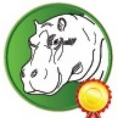 Помогаю спекулировать на Forex