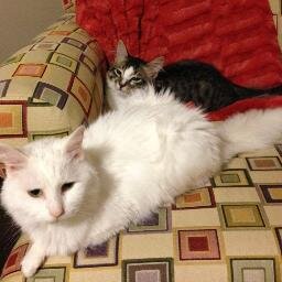 _HeatherW_'s profile picture. 