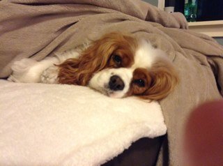 Jbenson20's profile picture. RCTID soccer fan-Timbers/Thorns. Hiking tall mountains with waterfalls reminds me of what heaven would be like.#timbersarmy #107 proud Oregonian!