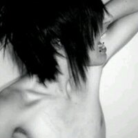 kyle.. (@kyle_kittens) 's Twitter Profile