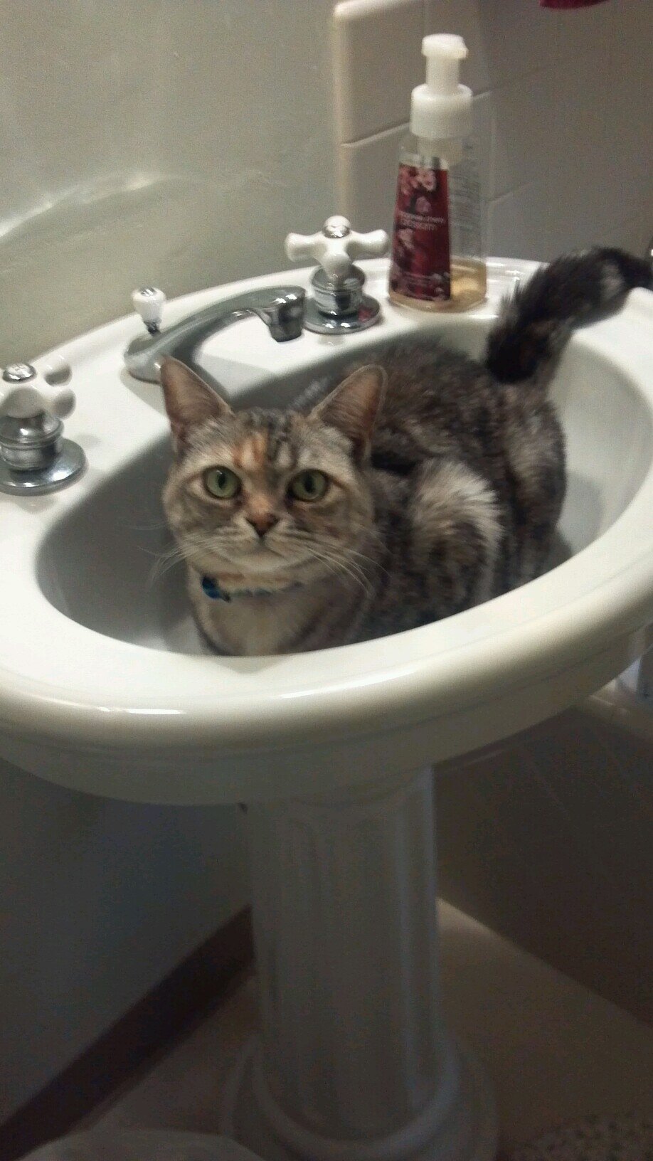 brendasue1019's profile picture. 