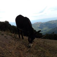 Marc Farrando (@poltre) 's Twitter Profile