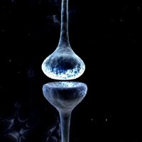 Executive Functions (@efupdate) 's Twitter Profile