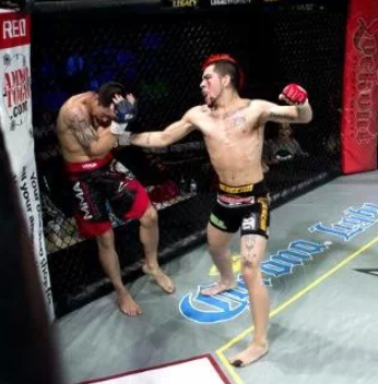 Father - Husband - MMA Fighter - Artist -