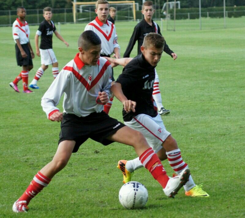 janoux-fcemmen b1