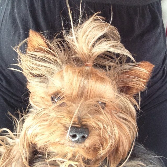 inmacubs's profile picture. 