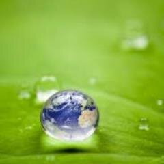 Greener Cleaners is a luxury organic home and janitorial cleaning service.  Visit us at http://t.co/EV8IxuFZKd