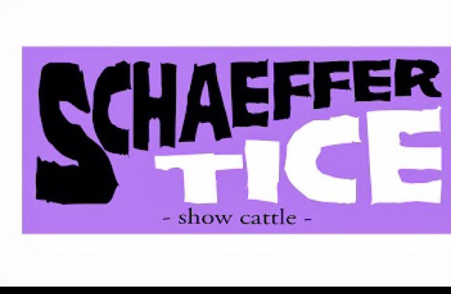TiceNate Profile Picture