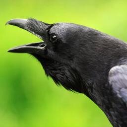 ikawa_hiroto's profile picture. 三島由紀夫と松本清張が好き, アンチ自公立維, Respect DJT EM