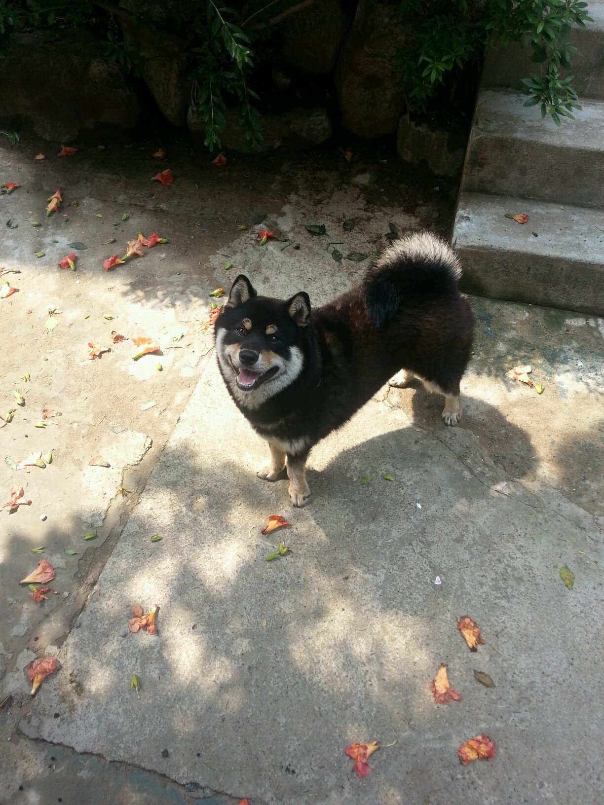 흐미~~~