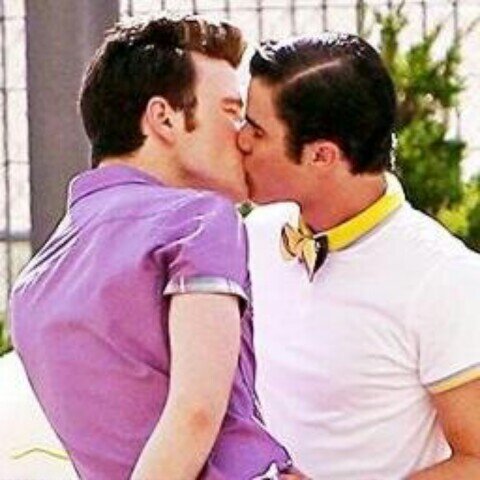 glee has taught me many things and I will forever be a gleek.