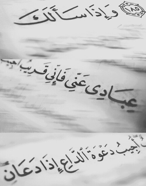 خلقت ﻷكون ساجده اللهم أكتبنا من مكثرين السجود أعشق أبي وأمي بجنون واطرق أبواب النجاح لأجلهم