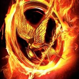 Catching Fire Nov.22!!