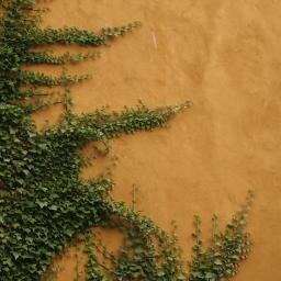 SoiledandSeeded's profile picture. Soiled and Seeded is an online garden magazine dedicated to rookie, seasoned, adventurous and guerrilla gardeners...