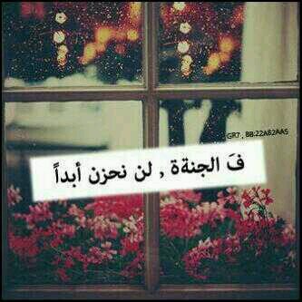 ‏‏‏‏‏‏‏‏اللهم اجعَل هذا الحسَاب شفيعاً لي واجعله حجة لي ﻵ علّي ..سبحان اللّه وبحمده ..سبحان اللّه العظيم  ♥لعل مفضلتي تشفع لي '