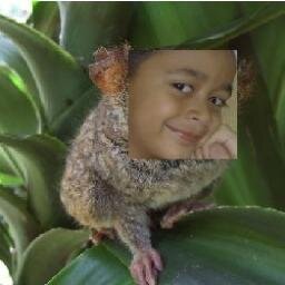Tarsius YANG bES4R!!!!! TARS1US Y4NG B3S4R!!!!