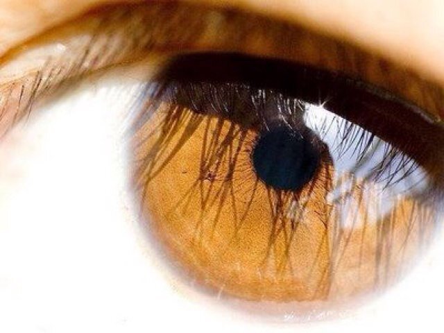 Moreno, 1.90m, olhos cor de mel, descendência Libanesa, divertido... O resto você pode descobrir me conhecendo melhor... Prazer, novas amizades, troca de idéias