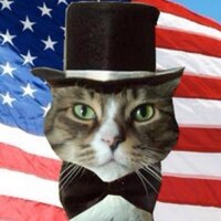 Top Conservative Cat (cat/cat)