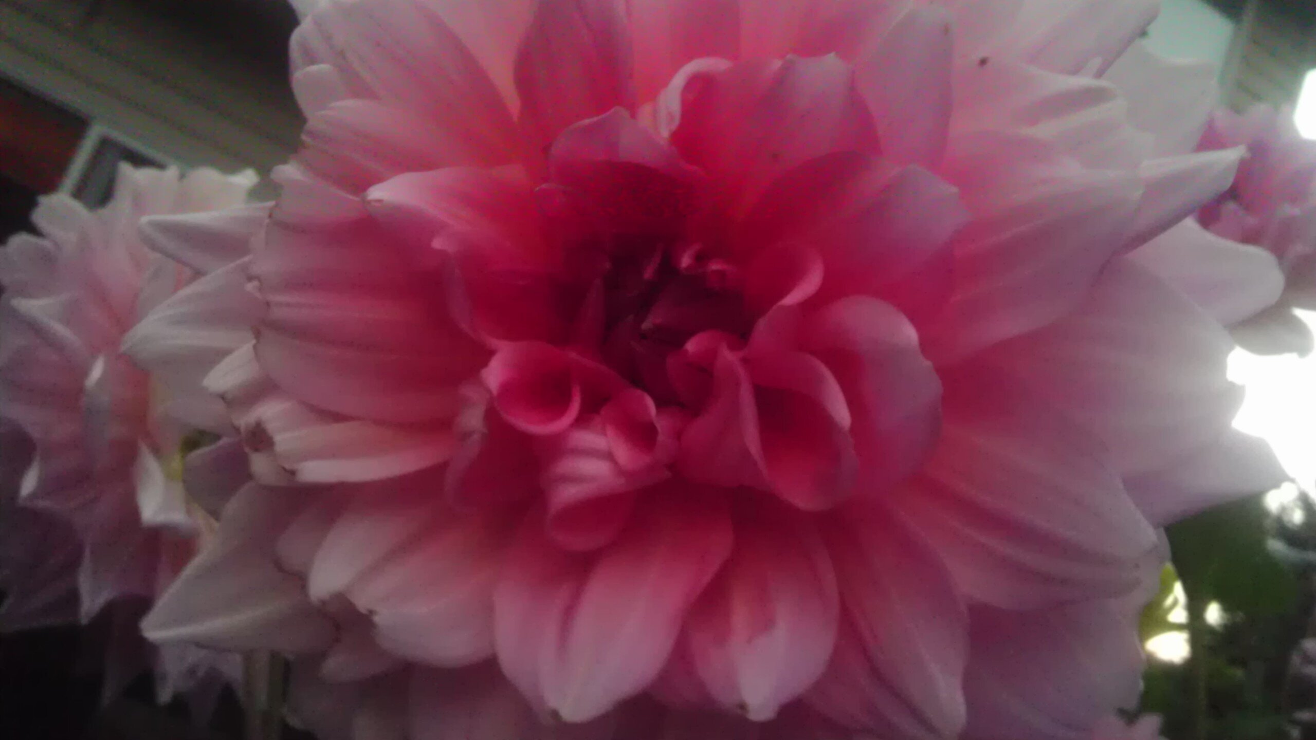 marybursek1's profile picture. 