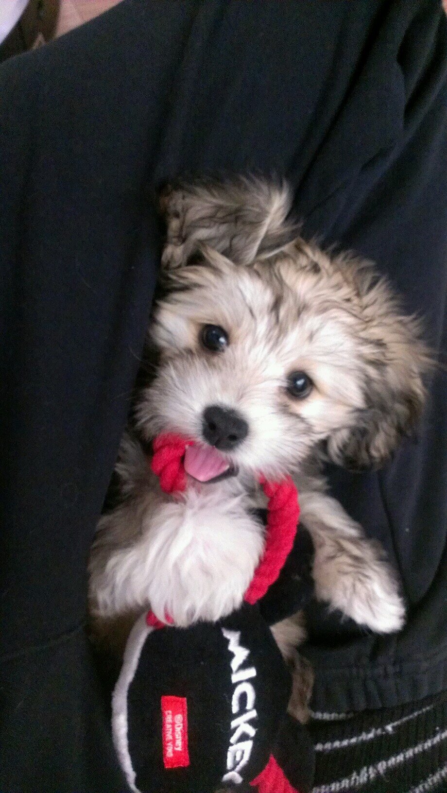 fu0211mi0211's profile picture. 