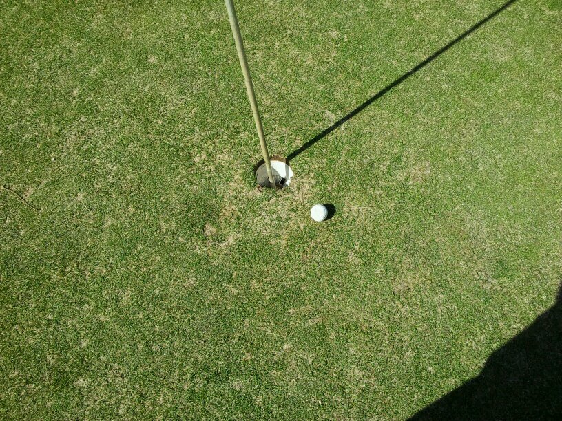 ggarbers77's profile picture. 