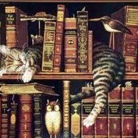 Kitap Alıntısı (@kitapalintisi) 's Twitter Profile Photo Kitap Alıntısı (@kitapalintisi) 's Twitter Profile Photo