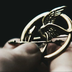 Violinista. 14. Harry Potter ♡ The Hunger Games