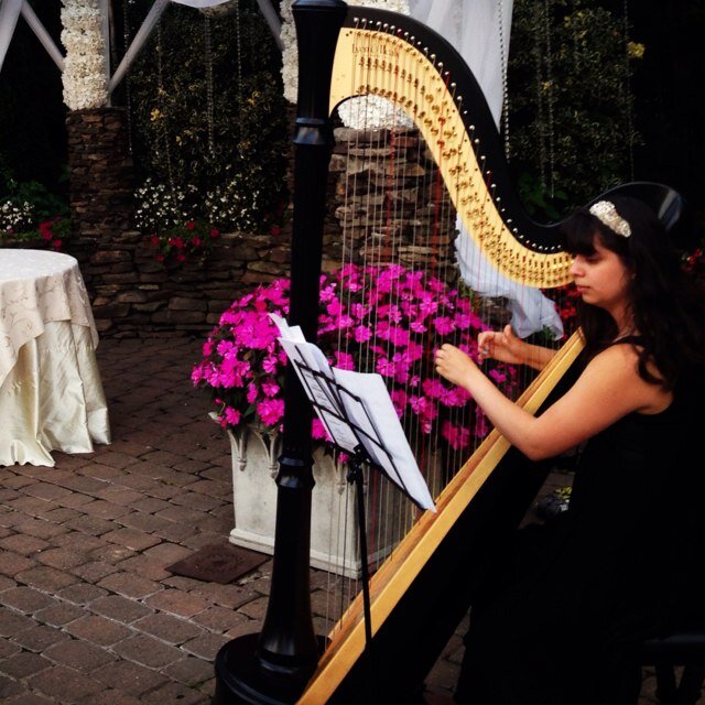 ~Harpist For Happy Happenings~
Go to website to contact for events