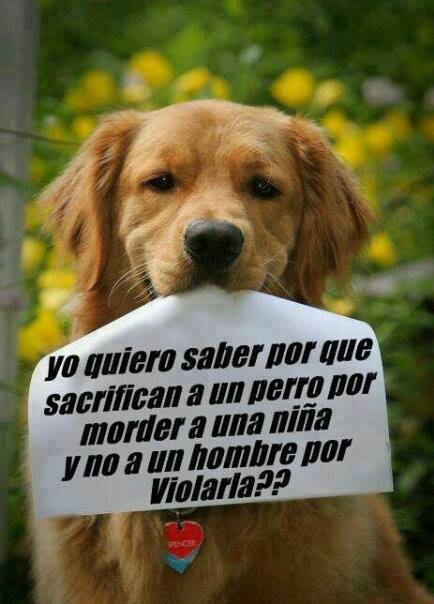 “ la vida sin sexo........no es vida
