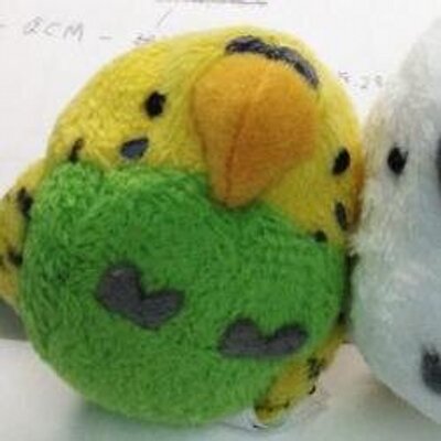 ꀎ インコ画像bot 相互 Inkoppo Twitter