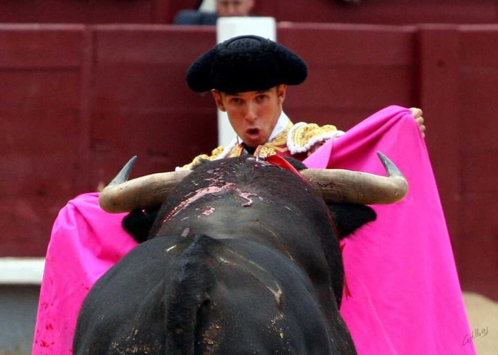 SuertesdeCapote's profile picture. El arte de ver volar un capote. Actualidades Taurinas y Olé....