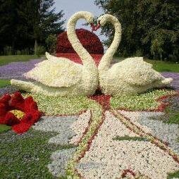 Luisannajpc's profile picture. Psicóloga Ψ Publicista Siguiendo a Jesús y brindando razones para sanar y sonreír. Felizmente amada y queriendo un delfín como mascota.Skype: Luisannaveronica