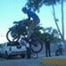 joelbmxbmx's profile picture. yo amo al bmx  y a las mujeres