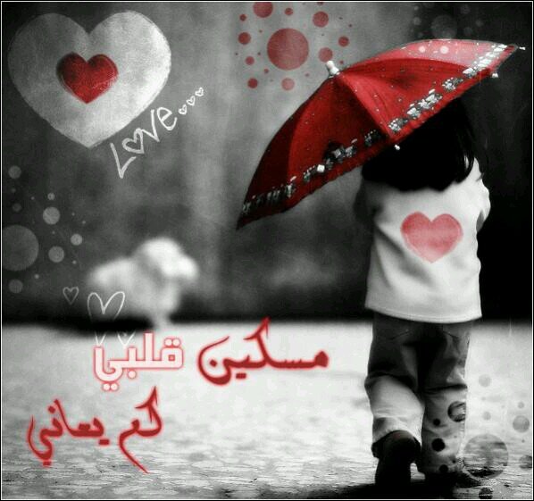 الحمدالله الذي لا يحمد على مكروه سواه ♥ • ° ○ ° ○