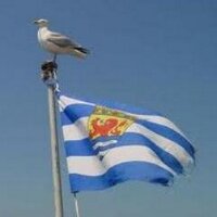 Zeelandweb community (@zeelandweb) 's Twitter Profile