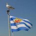 Zeelandweb community (@zeelandweb) Twitter profile photo