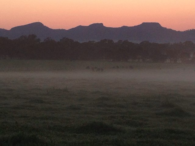 4th Generation Farmer at Gerogery, mixed farming, cereals, canola, sheep, cattle and sub clover seed production