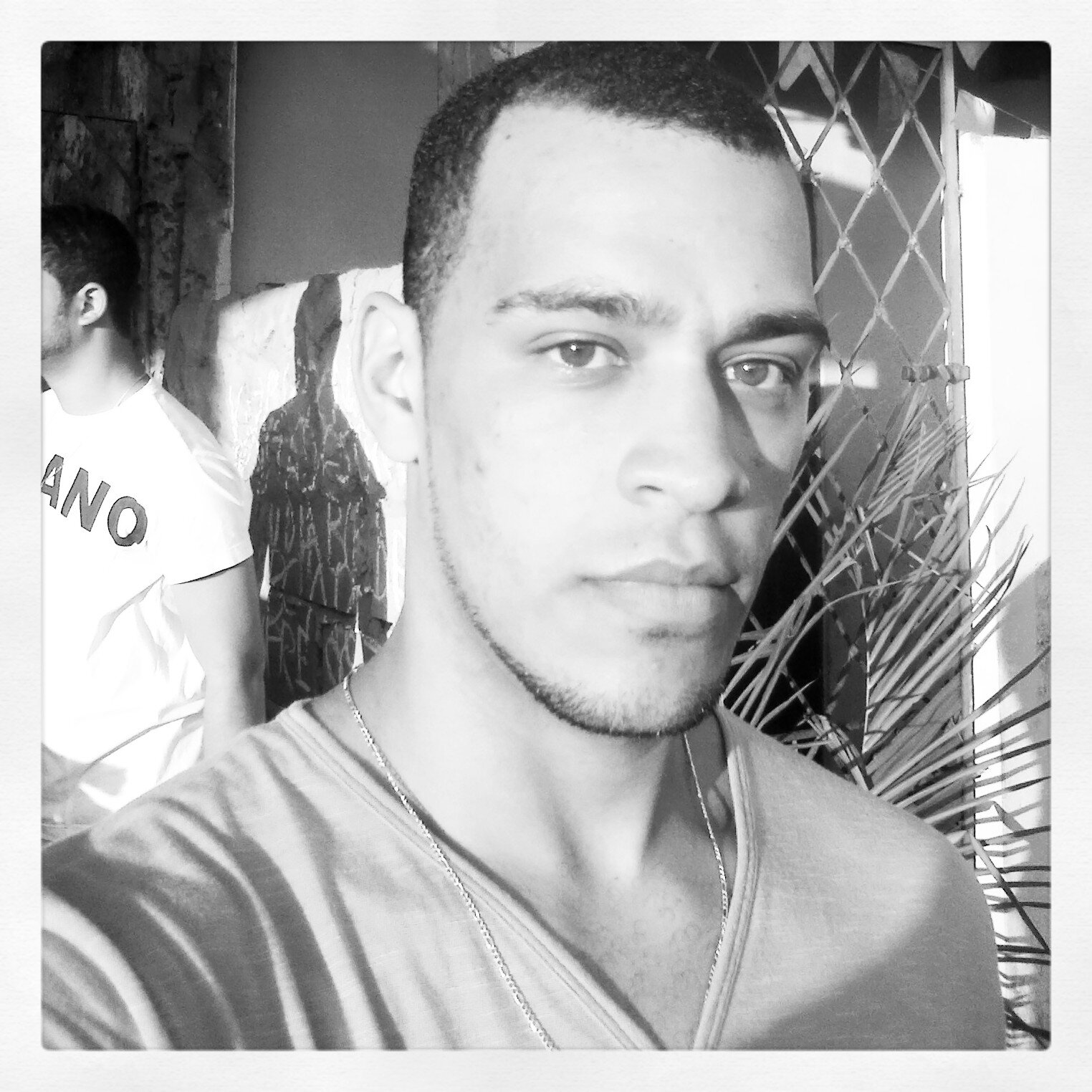 felicidade é pra ser vivida.