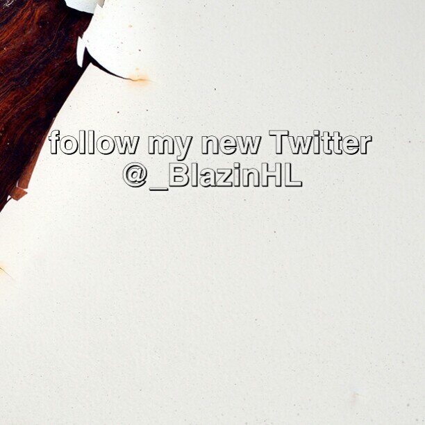 follow the new twitter @_BlazinHL